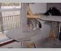 DSC00004
