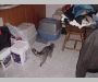 DSC00041